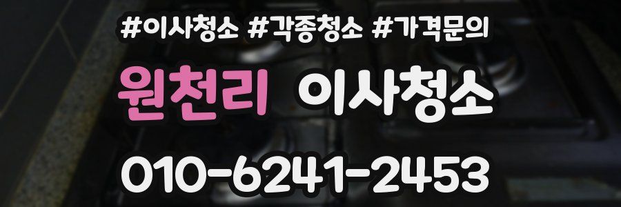 원천리 이사청소