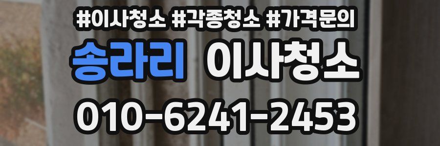 송라리 이사청소