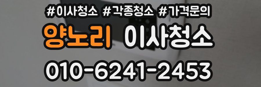 양노리 이사청소