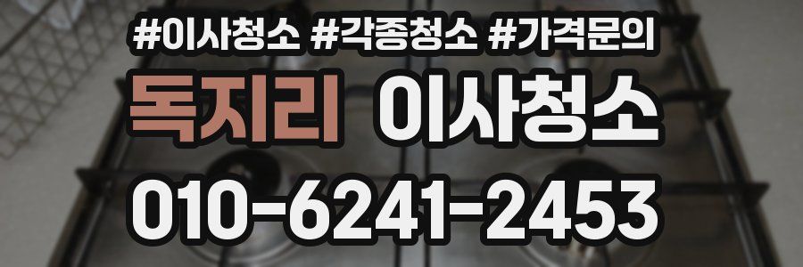 독지리 이사청소