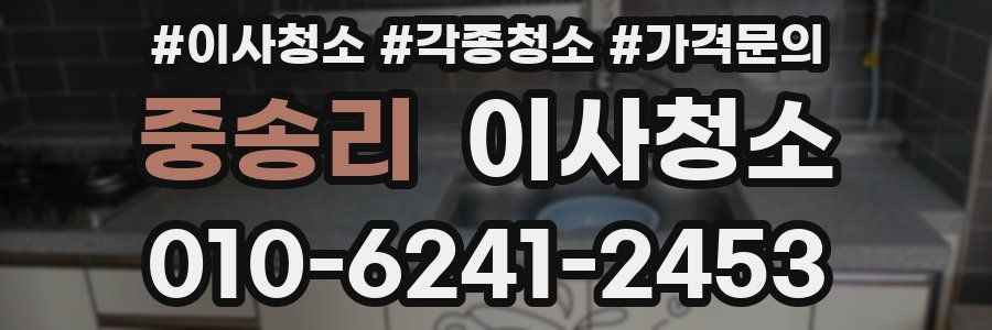 중송리 이사청소