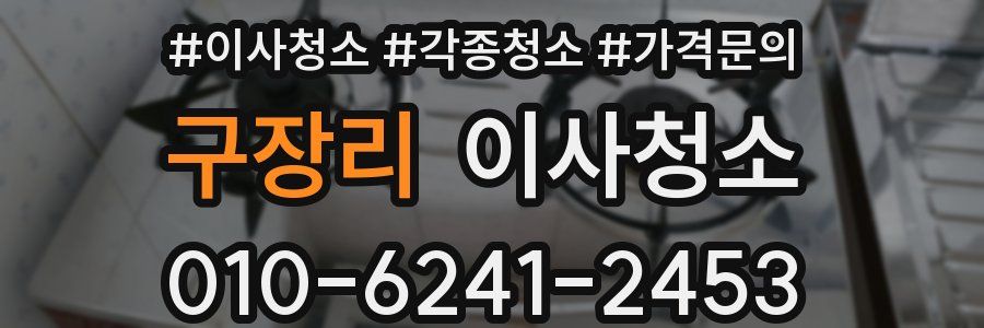구장리 이사청소