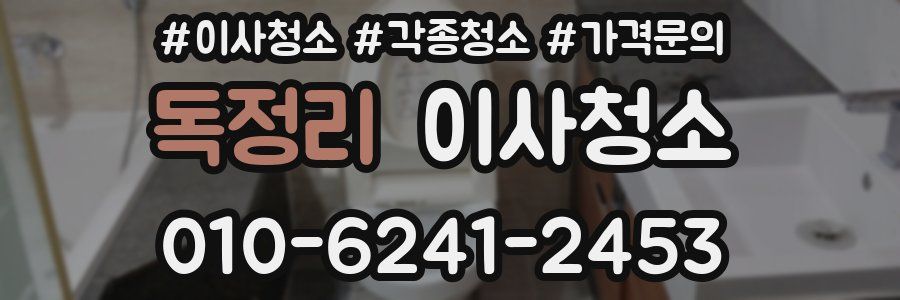 독정리 이사청소