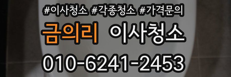 금의리 이사청소