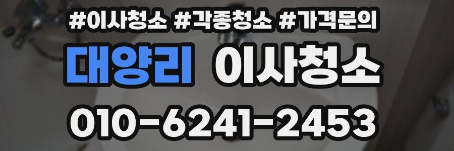 대양리 이사청소