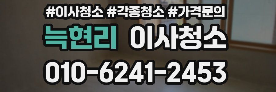 늑현리 이사청소