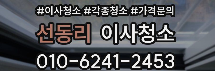 선동리 이사청소