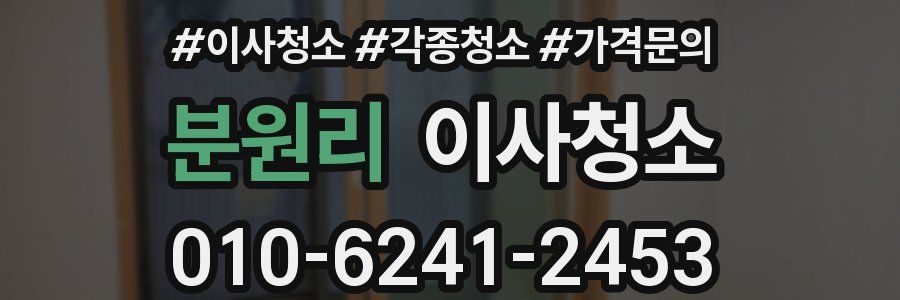 분원리 이사청소