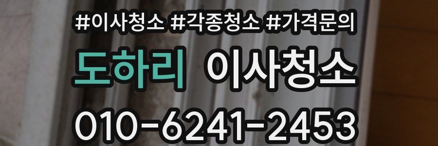 도하리 이사청소