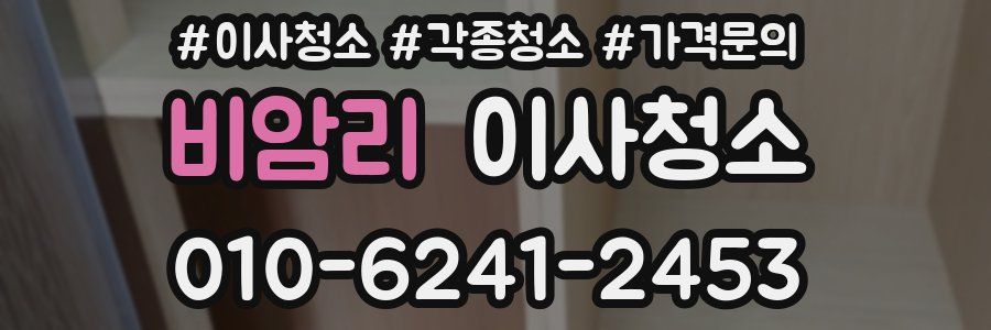 비암리 이사청소