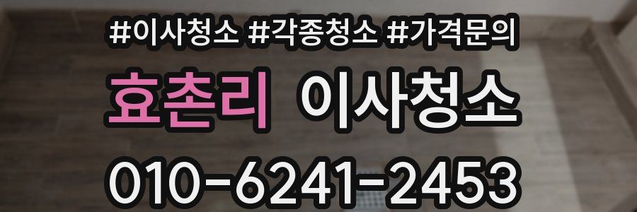 효촌리 이사청소