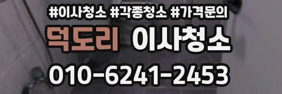 덕도리 이사청소