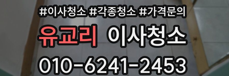 유교리 이사청소