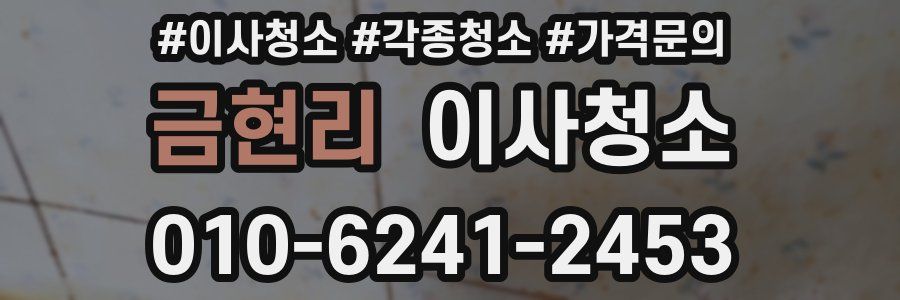 금현리 이사청소