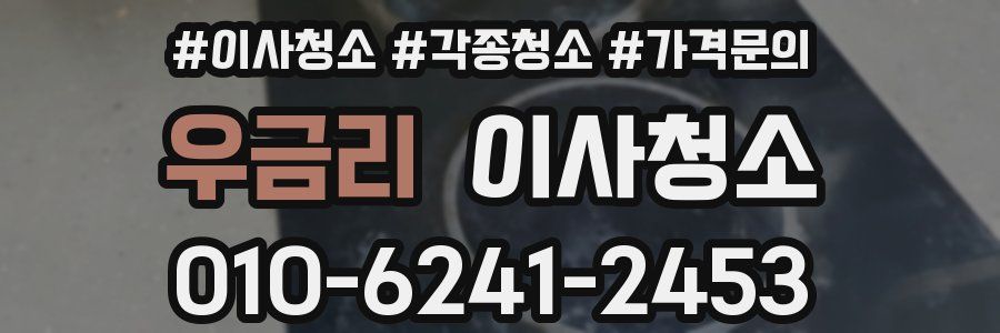 우금리 이사청소