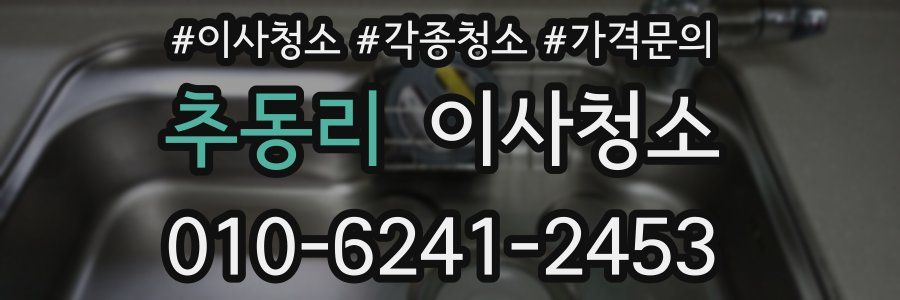 추동리 이사청소