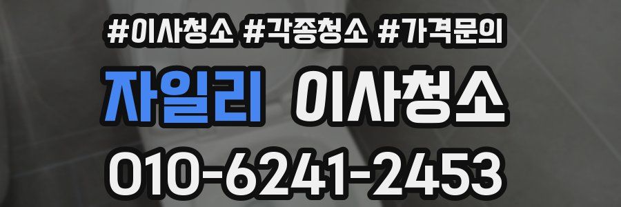 자일리 이사청소