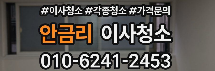 안금리 이사청소