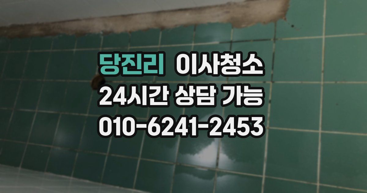 당진리 입주청소