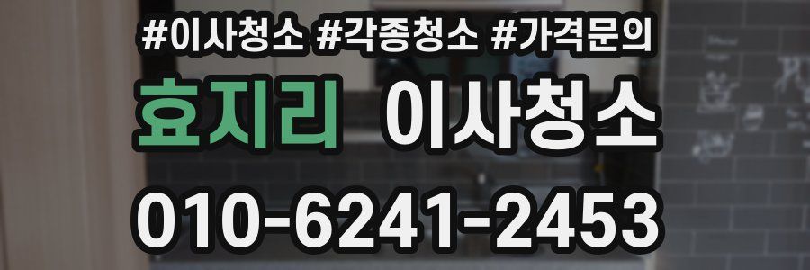 효지리 이사청소