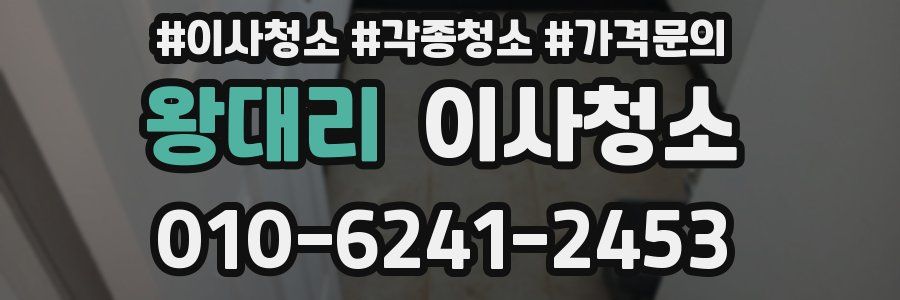 왕대리 이사청소