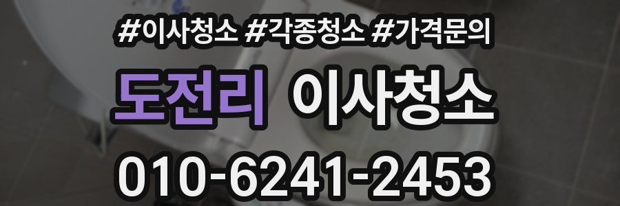 도전리 이사청소