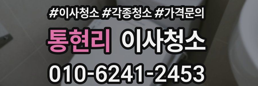 통현리 이사청소