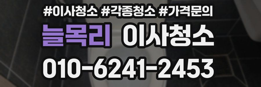 늘목리 이사청소