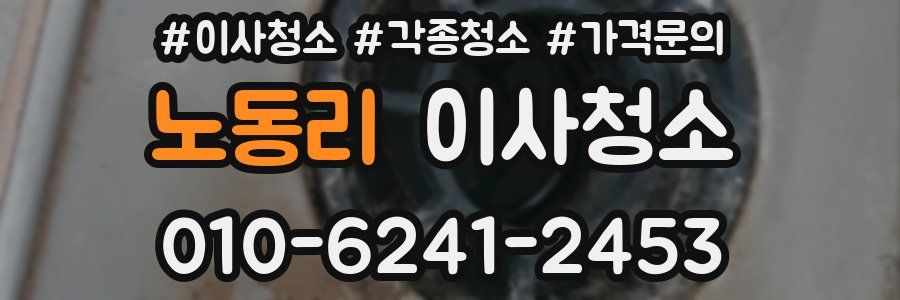 노동리 이사청소