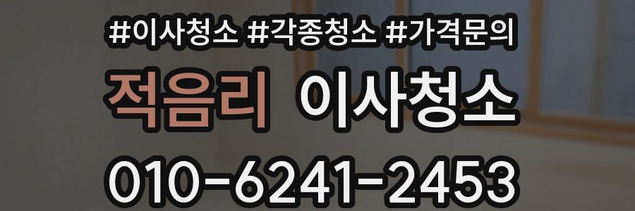 적음리 이사청소