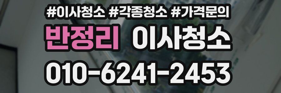 반정리 이사청소