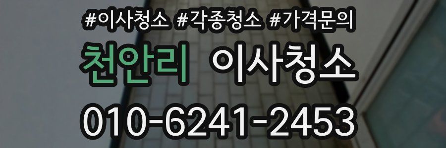 천안리 이사청소