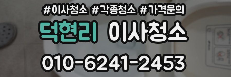 덕현리 이사청소