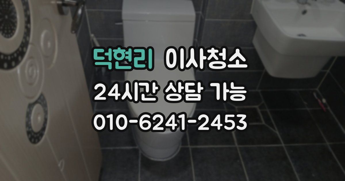 덕현리 입주청소