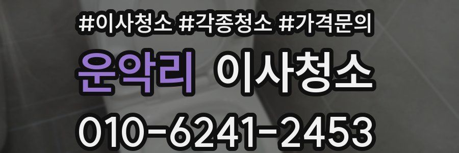 운악리 이사청소