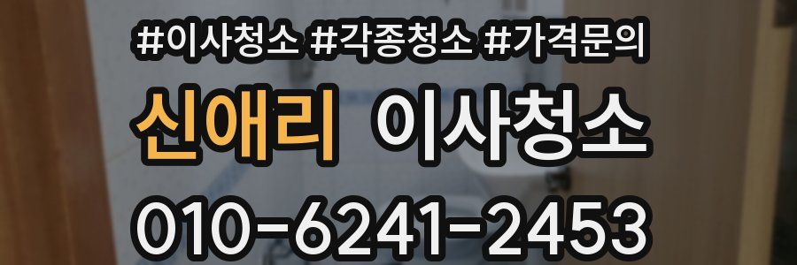 신애리 이사청소