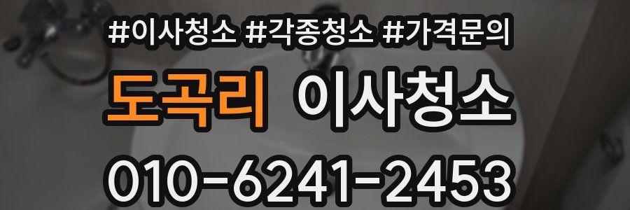 도곡리 이사청소