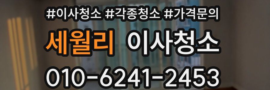 세월리 이사청소