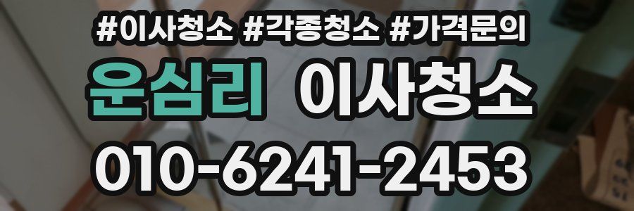 운심리 이사청소