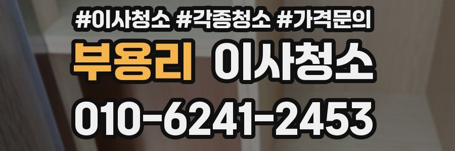 부용리 이사청소