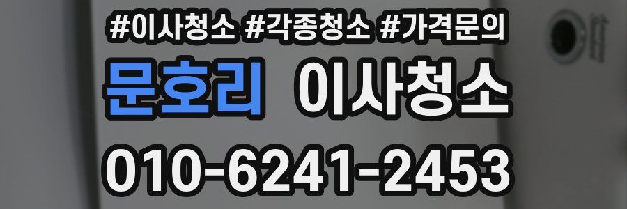 문호리 이사청소