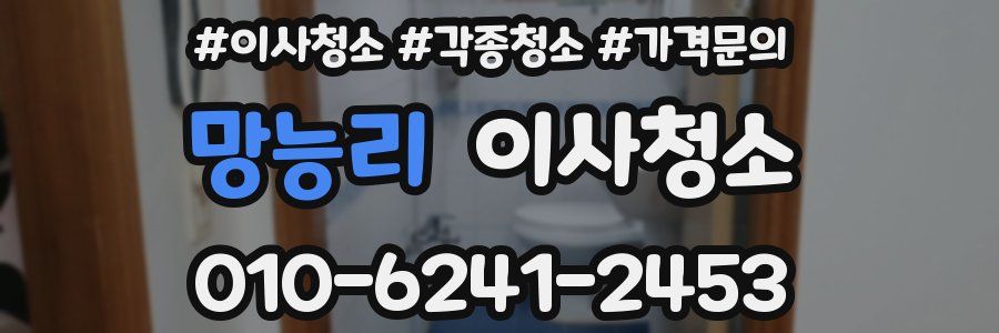 망능리 이사청소