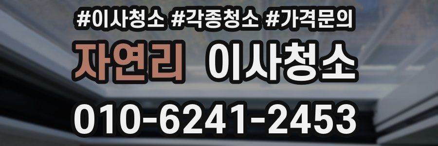 자연리 이사청소