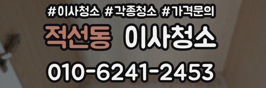 적선동 이사청소