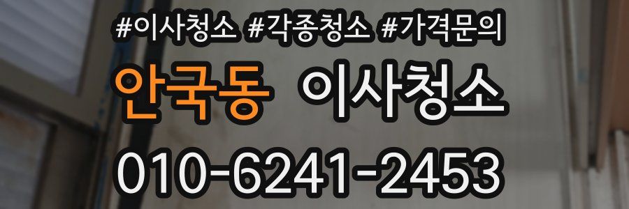 안국동 이사청소