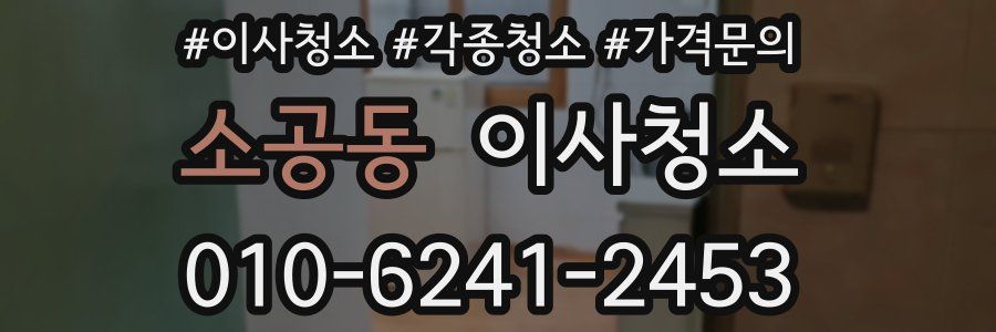 소공동 이사청소