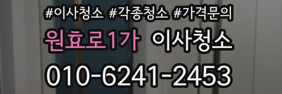 원효로1가 이사청소