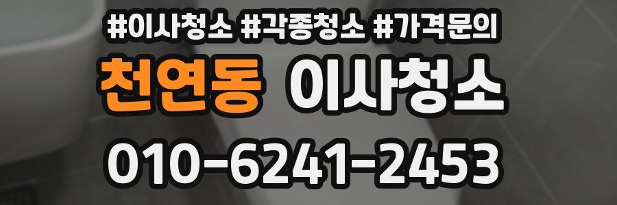 천연동 이사청소