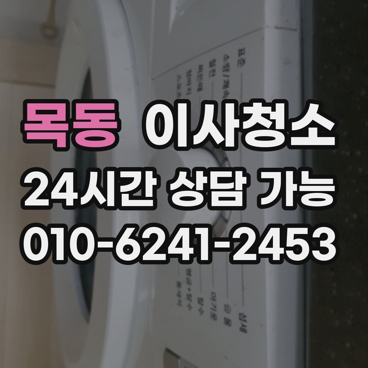 목동 이사청소 반려동물 털이 남는 집 마무리 정리법