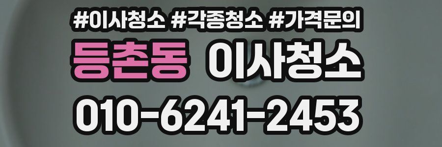 등촌동 이사청소